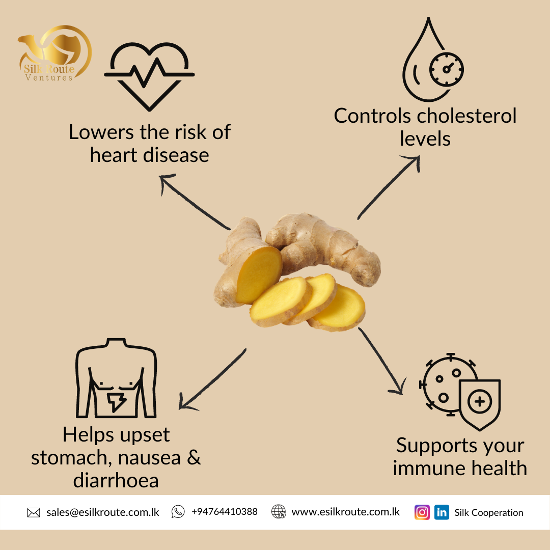 Organic Ginger Capsules in Bulk and Private Labeling Ekowarehouse